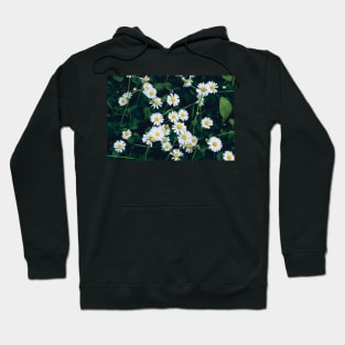 Wild Daisies Hoodie